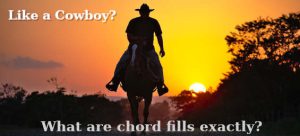 Cowboy riding towards camera at dusk - Chord Fills